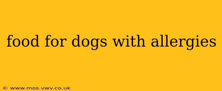 food for dogs with allergies