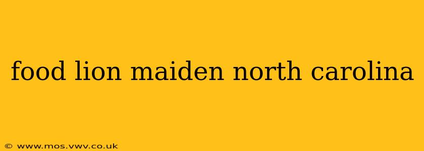 food lion maiden north carolina