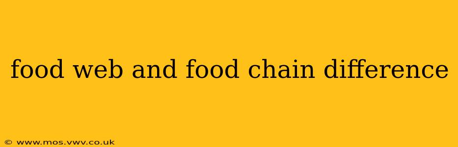 food web and food chain difference