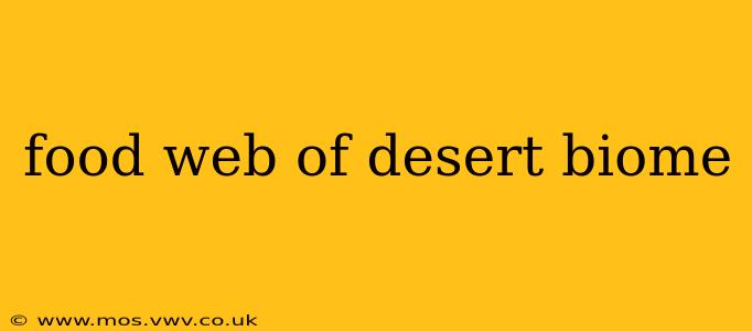 food web of desert biome
