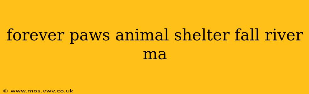 forever paws animal shelter fall river ma