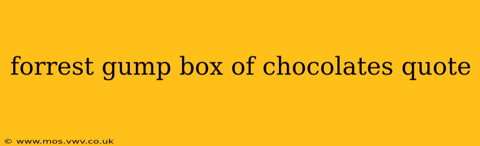 forrest gump box of chocolates quote