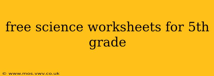free science worksheets for 5th grade