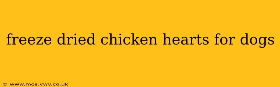 freeze dried chicken hearts for dogs