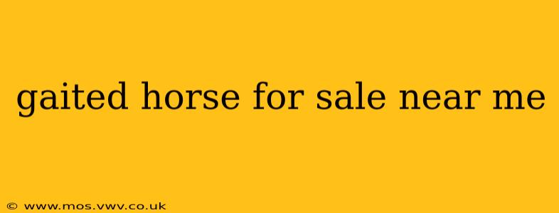 gaited horse for sale near me