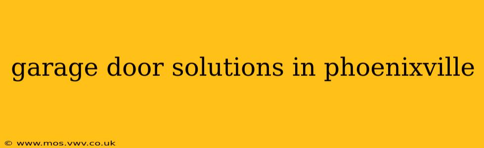 garage door solutions in phoenixville