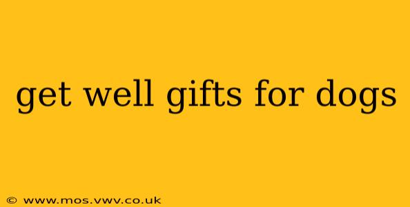 get well gifts for dogs