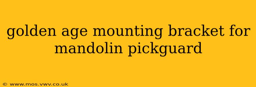 golden age mounting bracket for mandolin pickguard