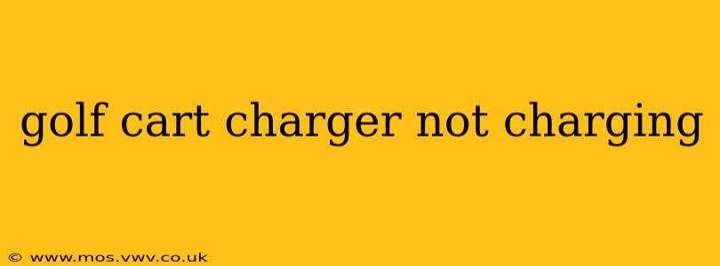 golf cart charger not charging