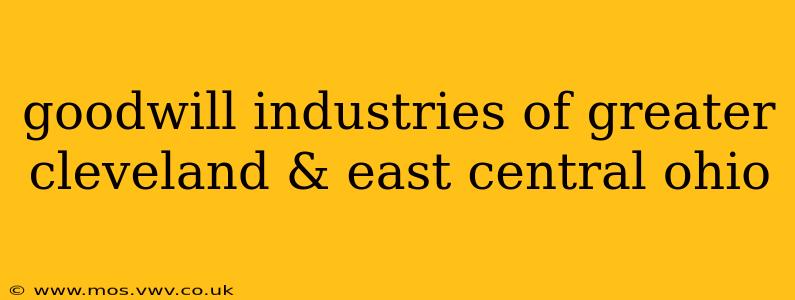 goodwill industries of greater cleveland & east central ohio