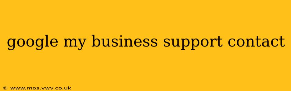 google my business support contact