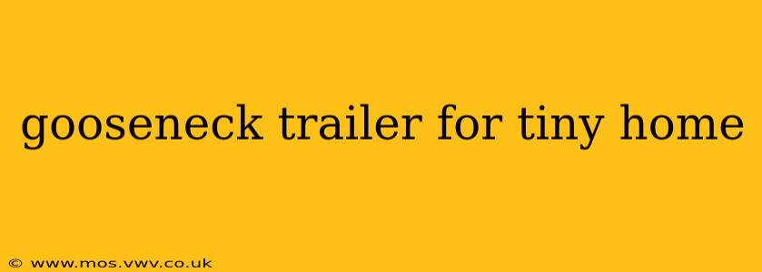 gooseneck trailer for tiny home