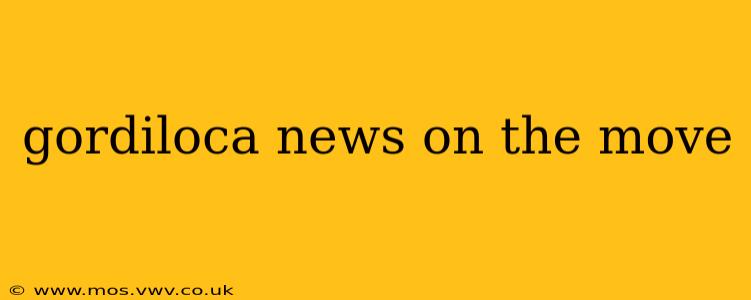 gordiloca news on the move