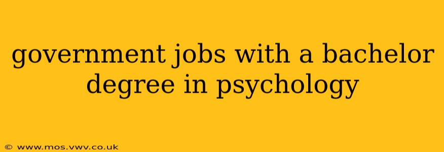 government jobs with a bachelor degree in psychology