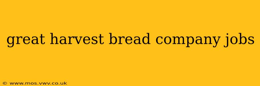 great harvest bread company jobs