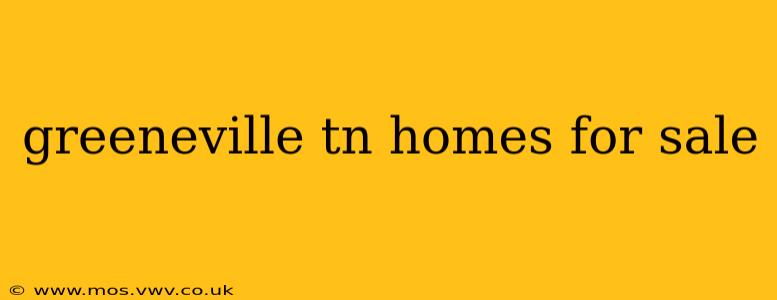greeneville tn homes for sale