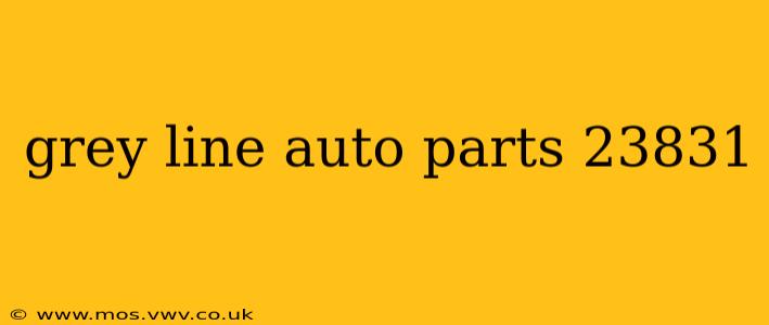 grey line auto parts 23831