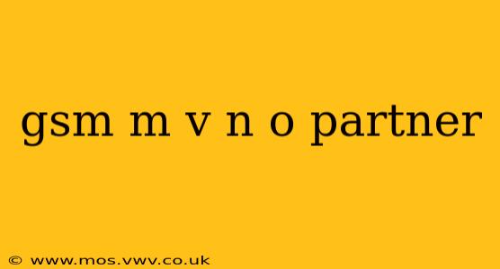 gsm m v n o partner
