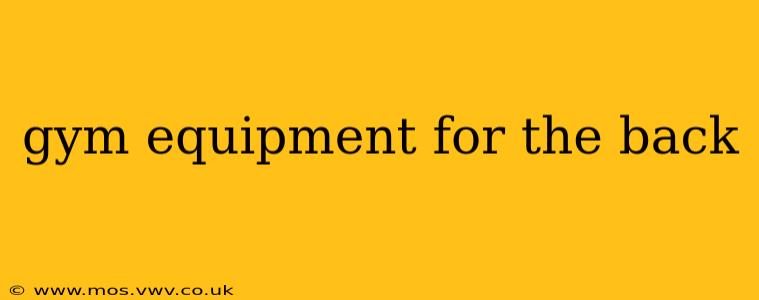 gym equipment for the back