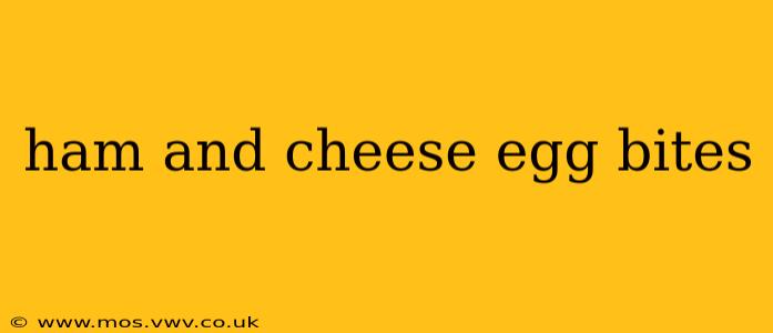 ham and cheese egg bites