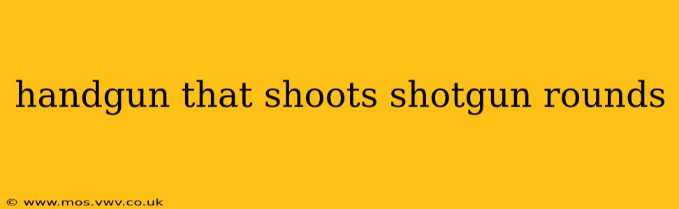 handgun that shoots shotgun rounds