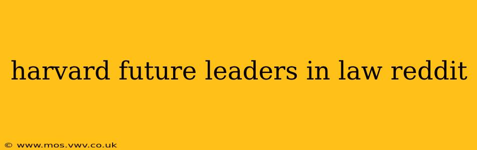 harvard future leaders in law reddit