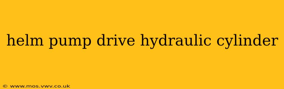 helm pump drive hydraulic cylinder