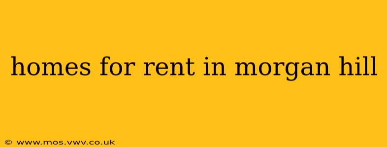 homes for rent in morgan hill
