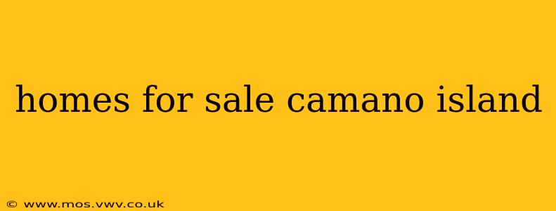 homes for sale camano island