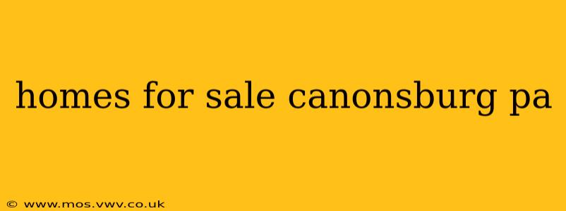 homes for sale canonsburg pa