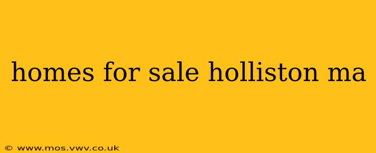 homes for sale holliston ma