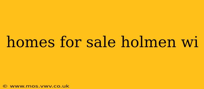 homes for sale holmen wi