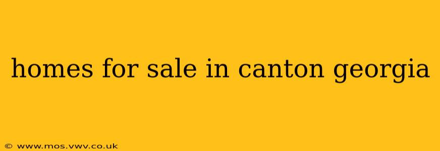 homes for sale in canton georgia