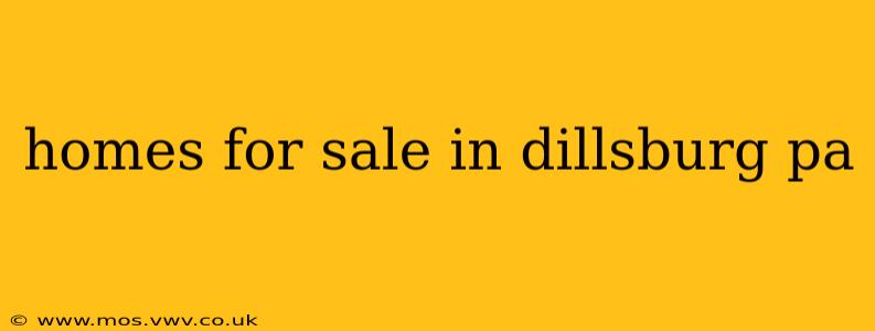 homes for sale in dillsburg pa