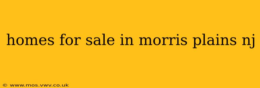 homes for sale in morris plains nj