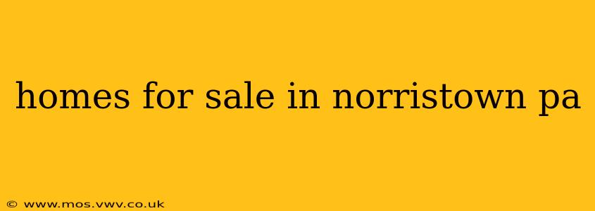 homes for sale in norristown pa