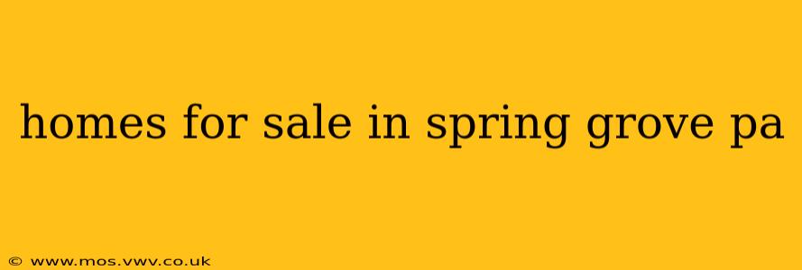 homes for sale in spring grove pa