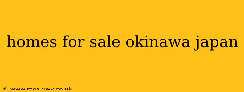 homes for sale okinawa japan