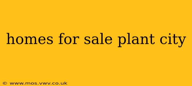 homes for sale plant city