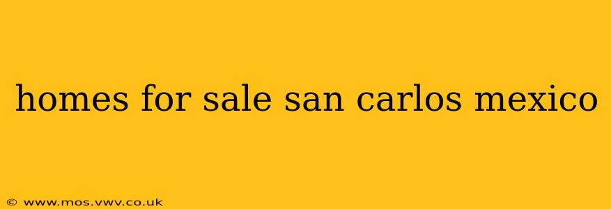 homes for sale san carlos mexico