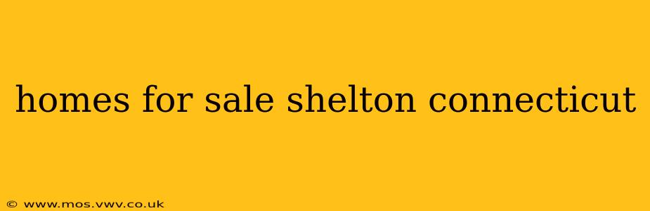 homes for sale shelton connecticut