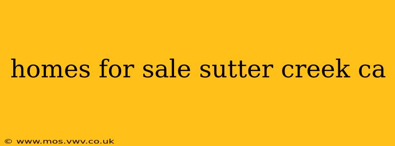 homes for sale sutter creek ca
