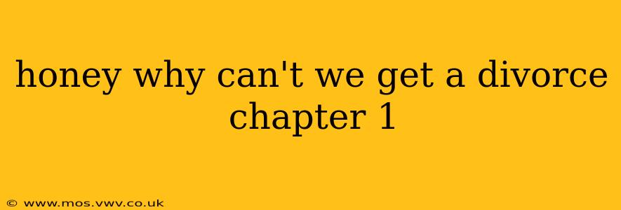 honey why can't we get a divorce chapter 1