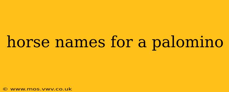 horse names for a palomino