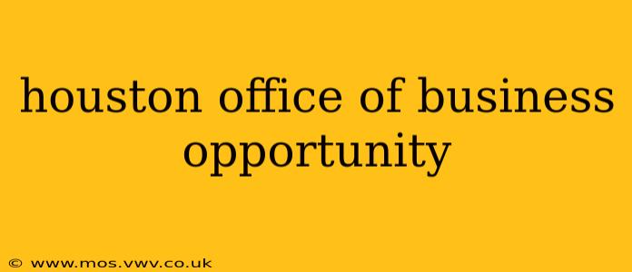 houston office of business opportunity