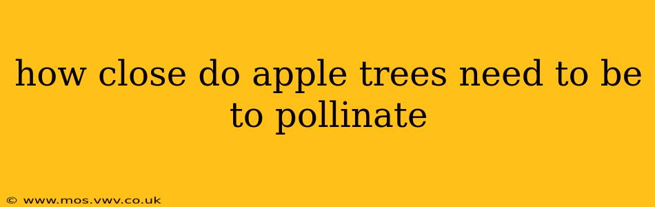 how close do apple trees need to be to pollinate