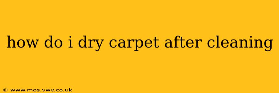 how do i dry carpet after cleaning