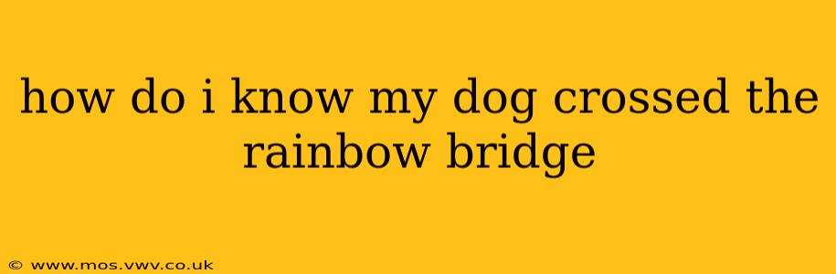 how do i know my dog crossed the rainbow bridge