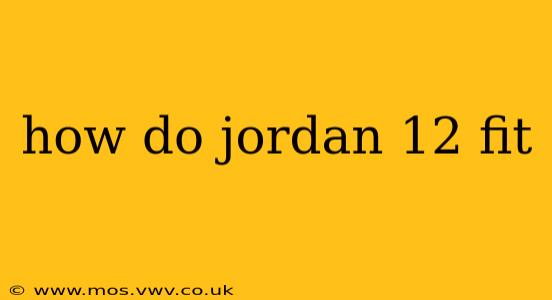 how do jordan 12 fit