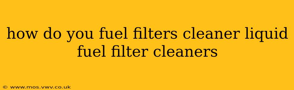 how do you fuel filters cleaner liquid fuel filter cleaners